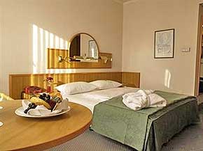 Silvesterpauschale mit 2 Übernachtungen im Doppelzimmer oder Einzelzimmer möglich.