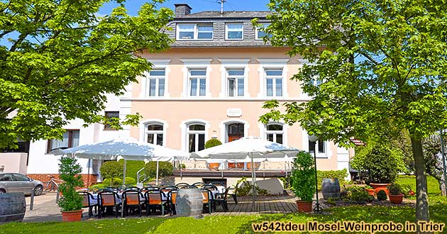 Mosel-Weinprobe Trier Mittelmosel Weingut Gruppen ab 10 Personen