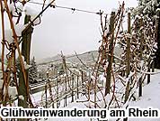 Glhweinwanderung am Rhein mit Glhwein trinken und wandern durch die Weinberge.