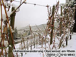 Mittelrhein Glhweinwanderung Oberwesel am Rhein